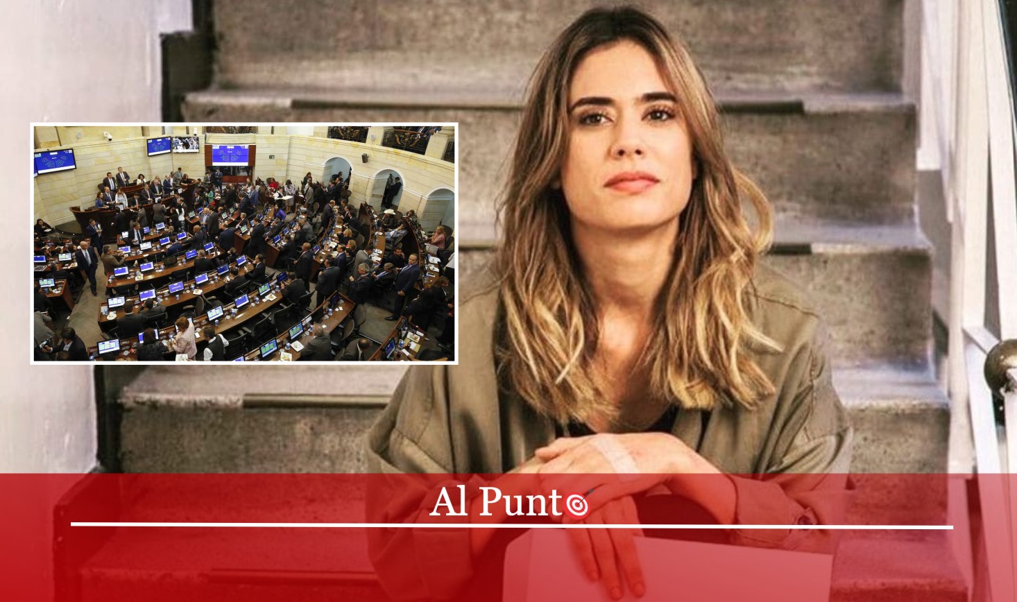 «Vengan uno ve el noticiero del Senado y uno está es en Suiza oiga!»: Carolina  Ramírez • Al Punto